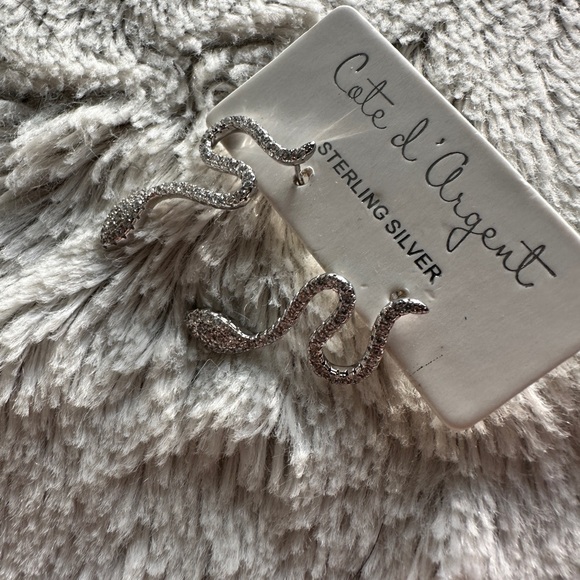 NWT Silver sparkly snake earrings - Picture 5 of 5